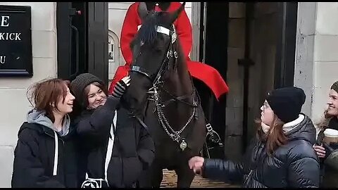 Tourist can't get enough of the horse #horseguardsparade