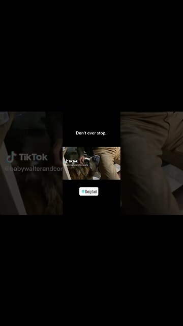 Dad's best friend. #dog #dogs #love #cute #sleeping