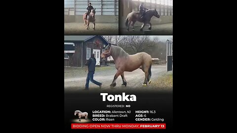 ♦️ 𝐇𝐎𝐑𝐒𝐄𝐌𝐀𝐍'𝐒 𝑩𝒆 𝑴𝒊𝒏𝒆 𝐒𝐄𝐋𝐄𝐂𝐓 ♦️ Happening thru MONDAY | FEBRUARY 13 - Exclusively on HorseBid.com!