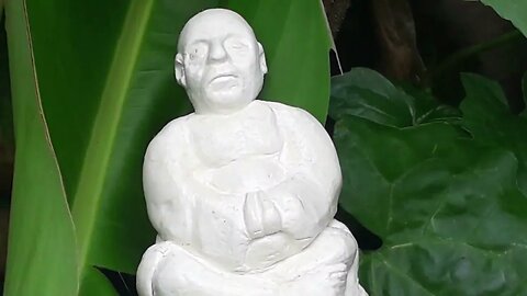 AIR DRY CLAY AND NATURE