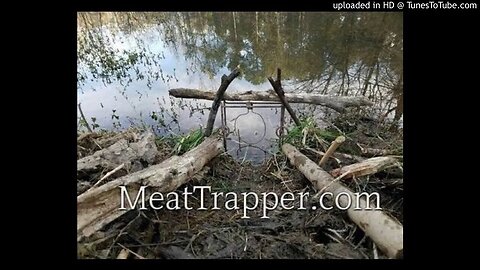 MeatTrapper Episode 251