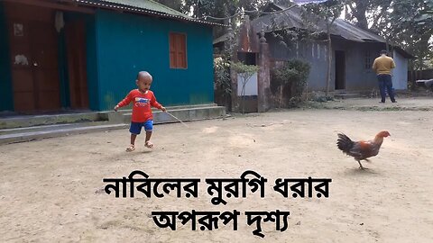 নাবিলের মুরগি ধরার অপরূপ দৃশ্য।