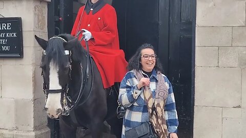 Neverous tourist laughs. horse Blows air #horseguardsparade