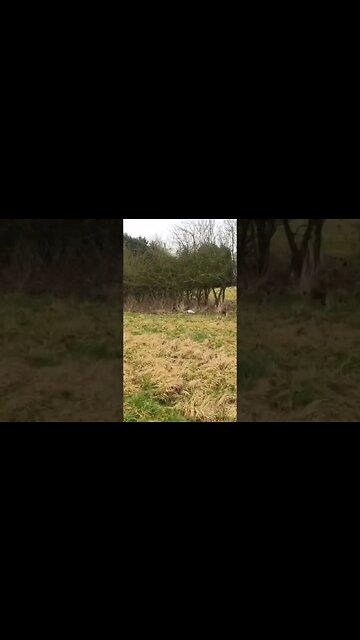 St Michael's-on-Wyre where Nicola Bulley went missing #NicolaBulley #Lancashire #Shorts