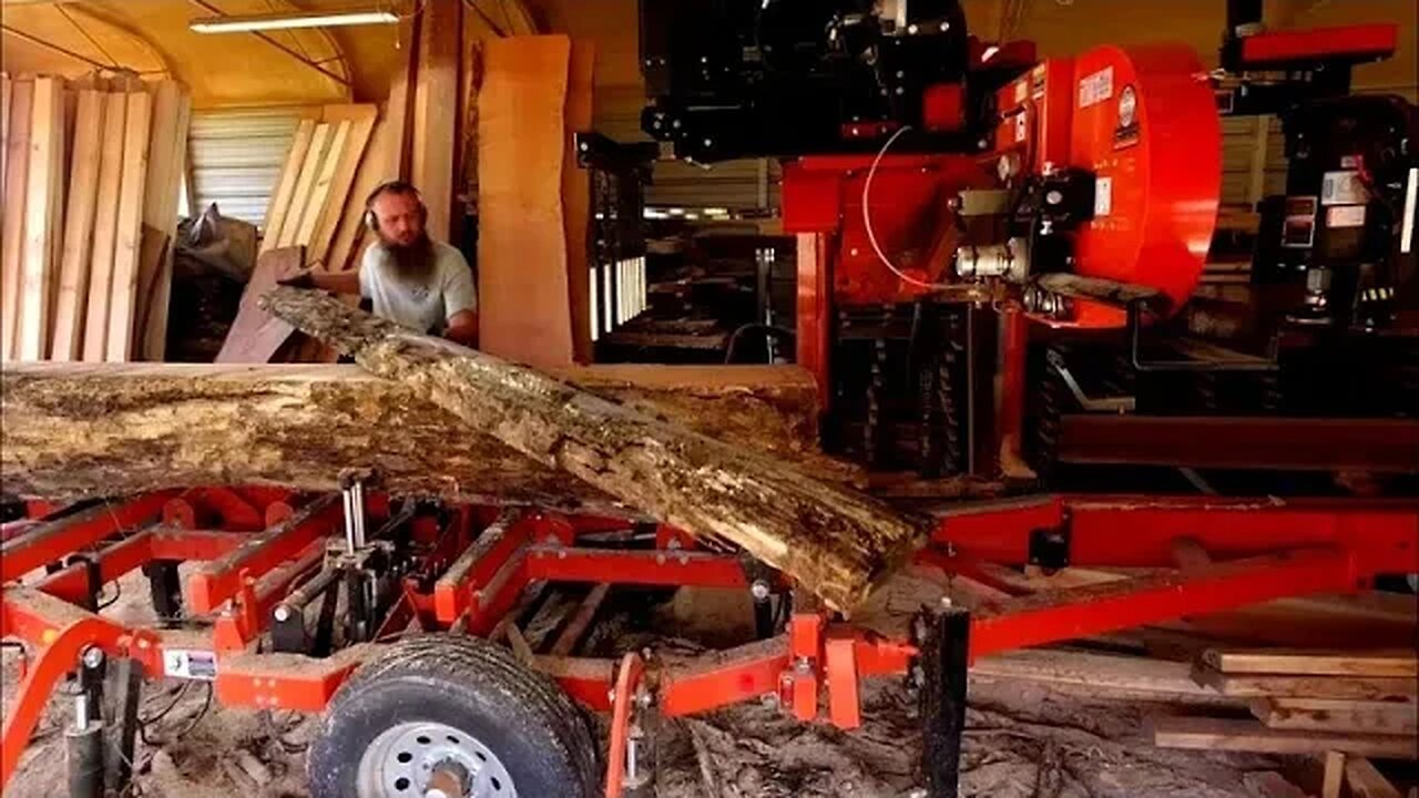 Was This Log Worth Saving? Red Oak Left To Rot On The Sawmill