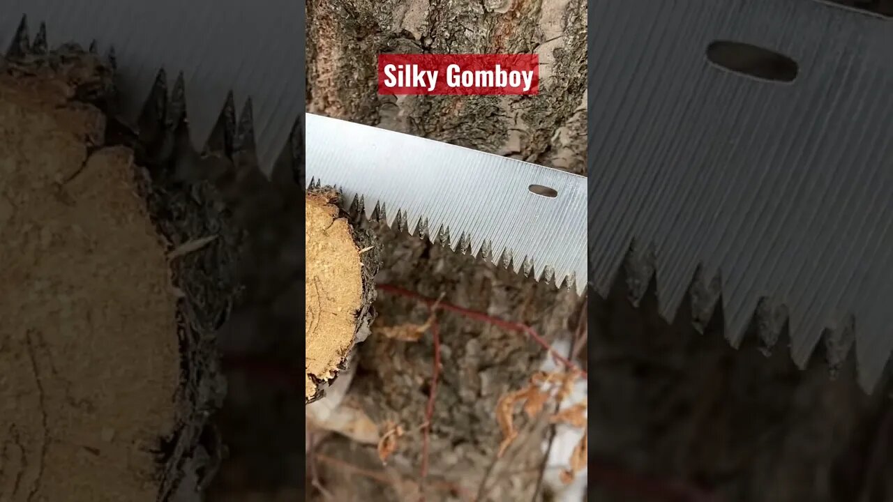 Silky Gomboy -cutting wood has never been so easy.