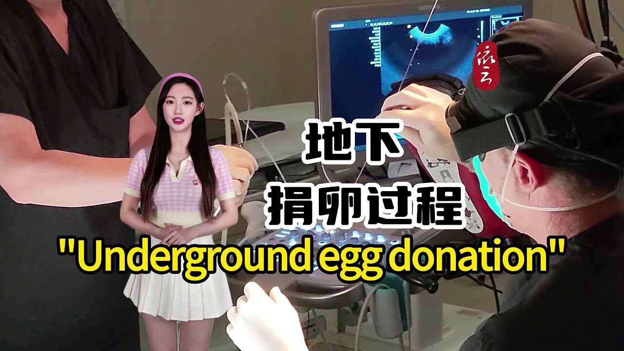 The entire process of "underground egg donation"