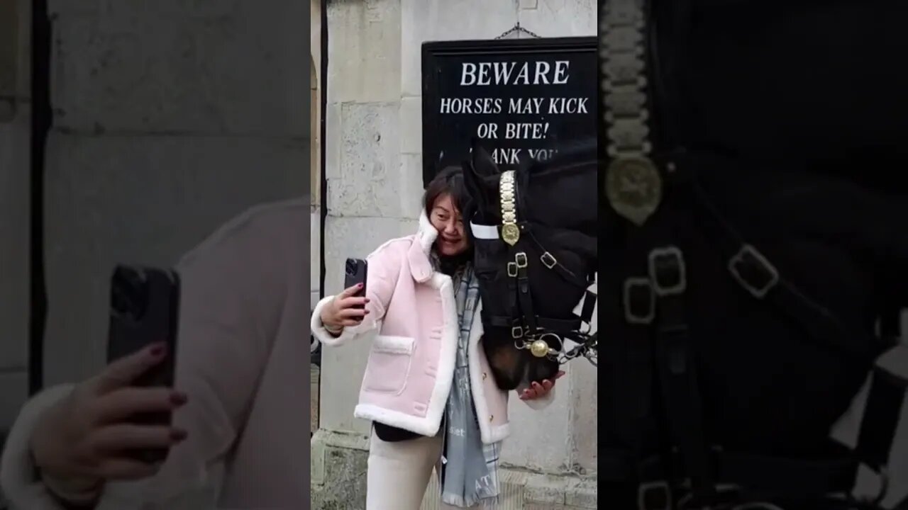 He wants my jacket #horseguardsparade