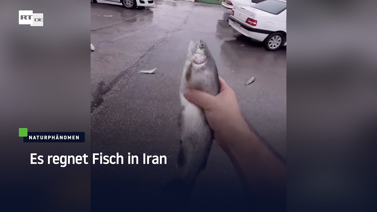 Es regnet Fisch in Iran