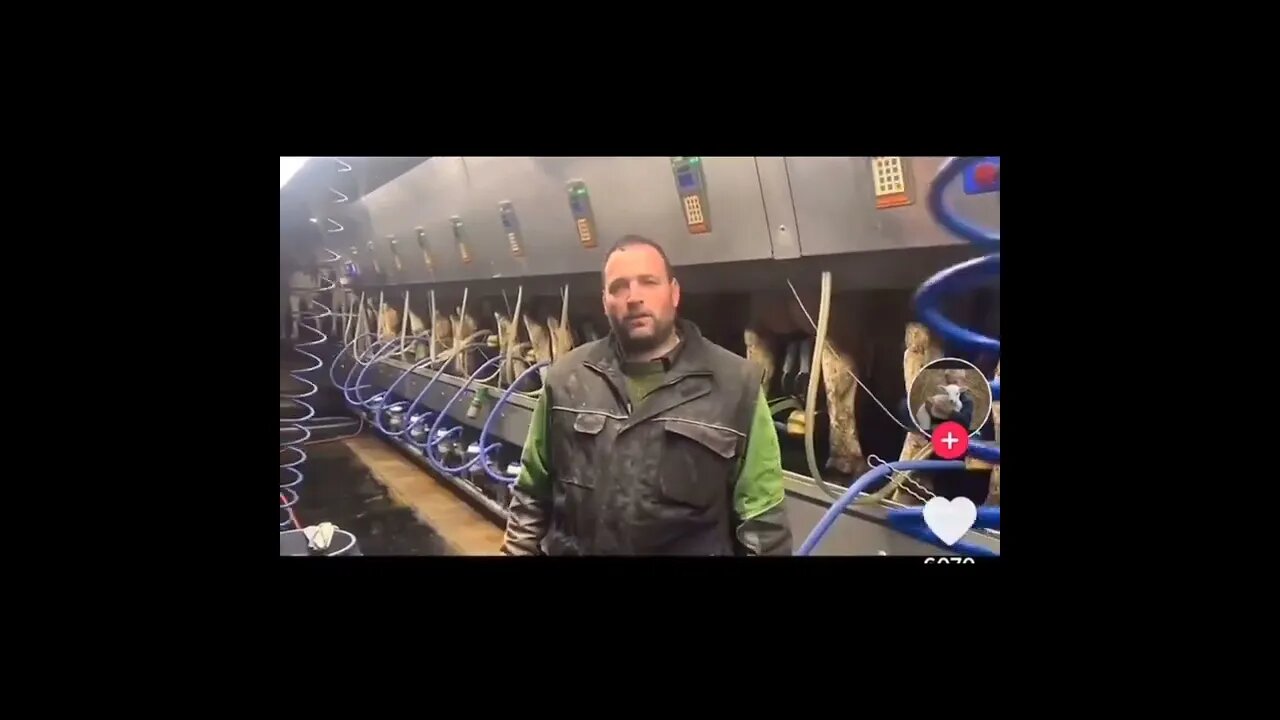 Canada's Regulated Dairy Industry Bad For Canadians?