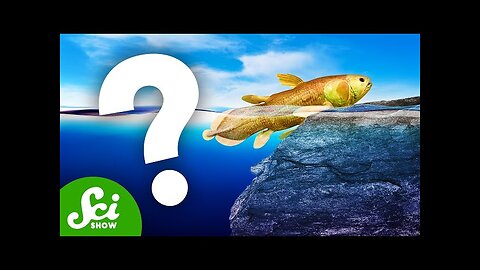 We Can't Find the Most Important Fossils Ever