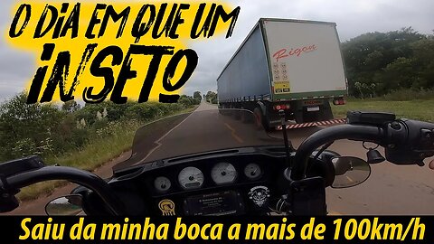 O dia em que um INSETO, saiu da minha BOCA a mais de 100km/h