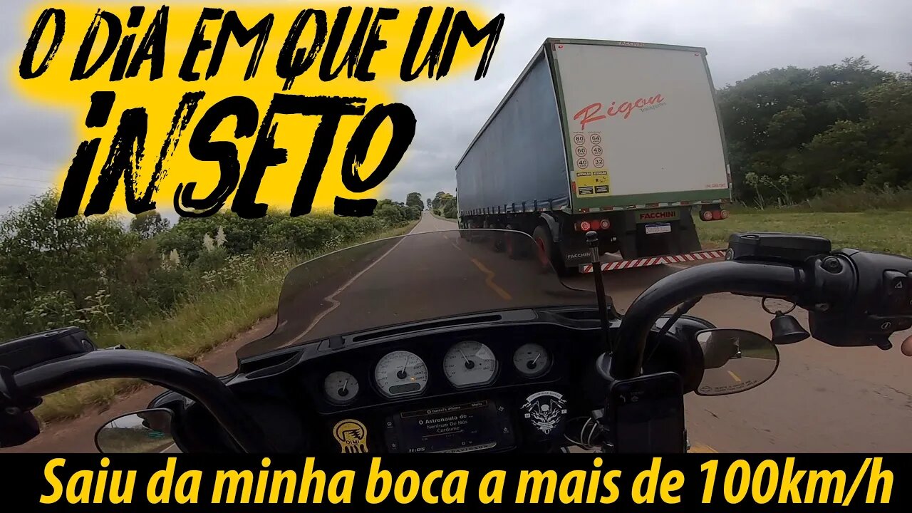 O dia em que um INSETO, saiu da minha BOCA a mais de 100km/h