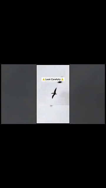 Extinct Animals Caught On Camera #shorts