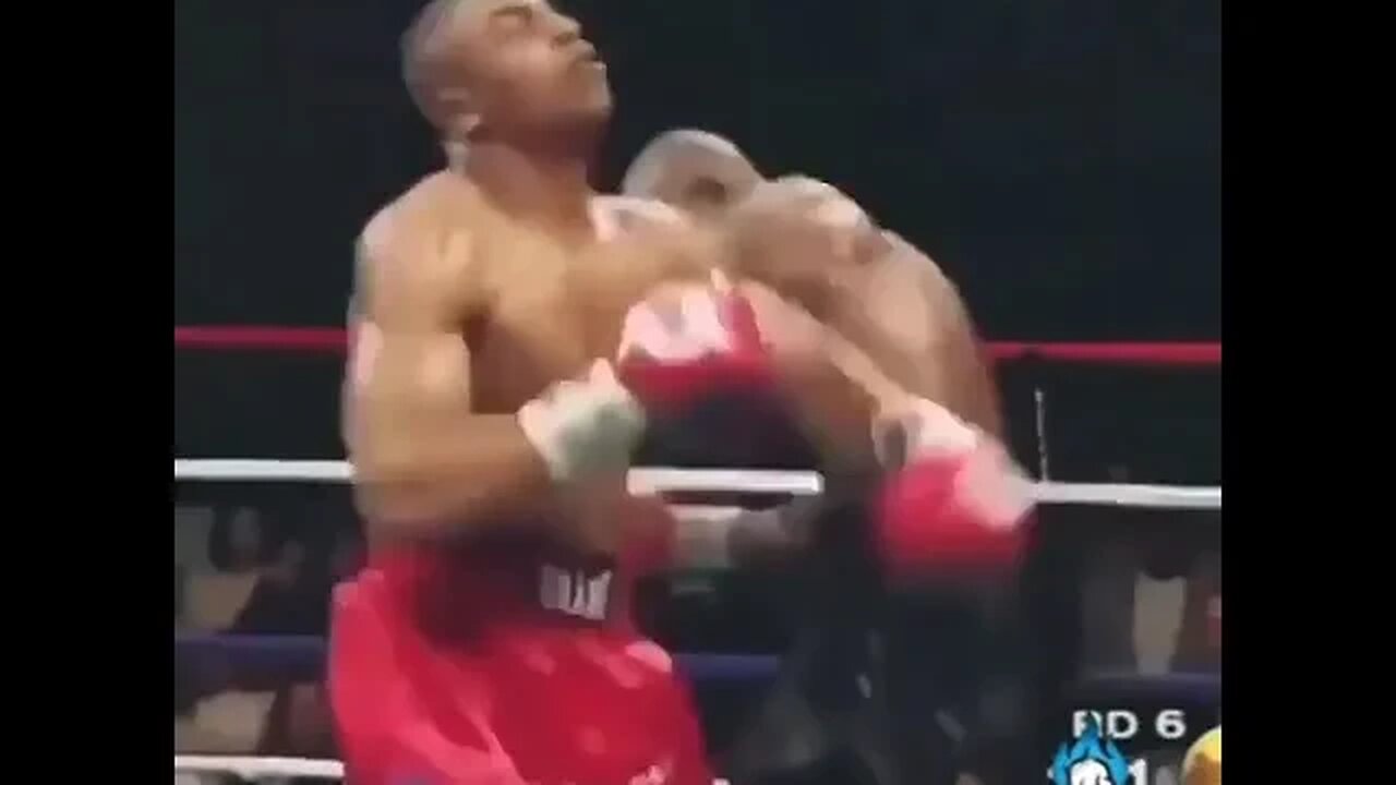 Boxing Fight