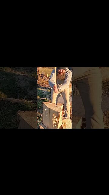 60$ Splitting Axe. Firewood Splitter #shorts 🪓