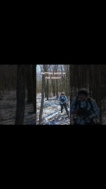 Getting good in the woods today...