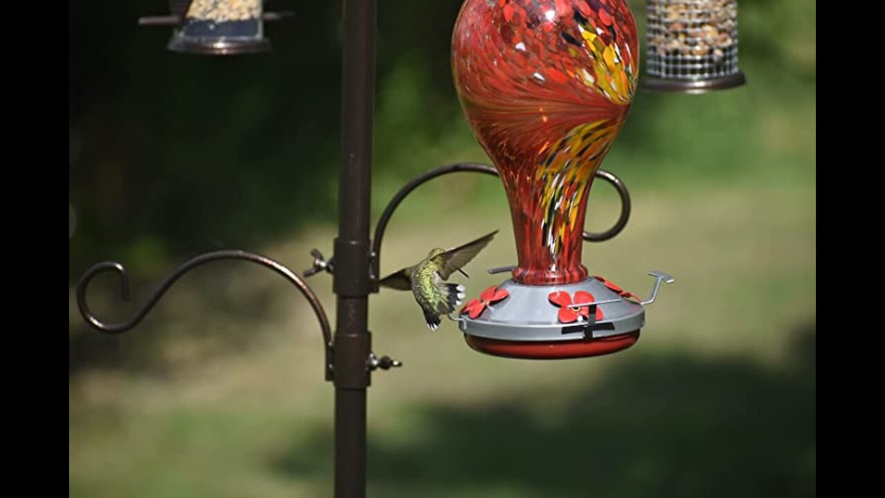 Glass Hummingbird Feeder, Never Leakage Large 36 oz Hummingbird Feeder for Outdoors, Hand Blown...