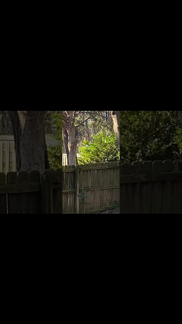 Charleston SC Traffic Just Gets Worse