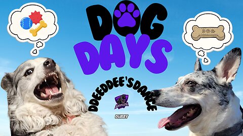 Dog Days: DdeeDdee's Dance [Blue Heeler | Husky | Australian Shepherd]