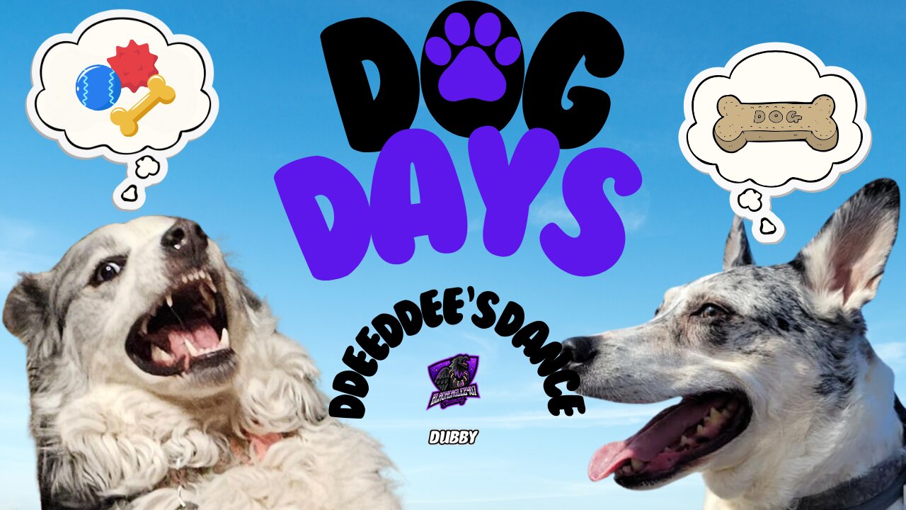 Dog Days: DdeeDdee's Dance [Blue Heeler | Husky | Australian Shepherd]