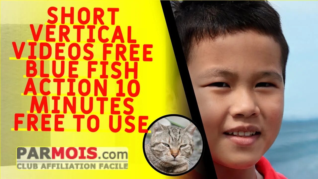 short vertical videos free blue fish action 10 minutes free to use