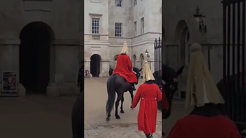 Horse's go in end of day #horseguardsparade