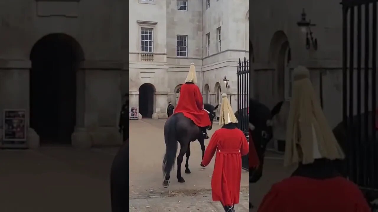 Horse's go in end of day #horseguardsparade