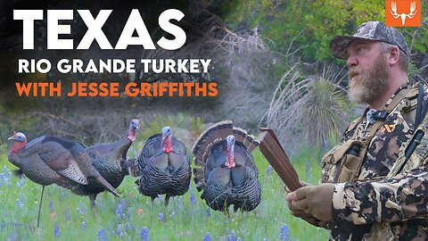 Turkey Hunting Texas-Style with Jesse Griffiths