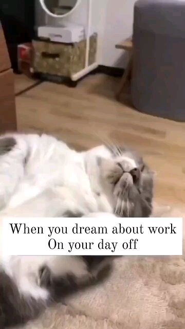 I Thought This Was Funny....😆