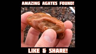 Amazing AGATES & beach treasures found!