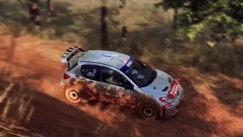 DiRT Rally 2 - Replay - Peugeot 206 at Taylor Farm Sprint