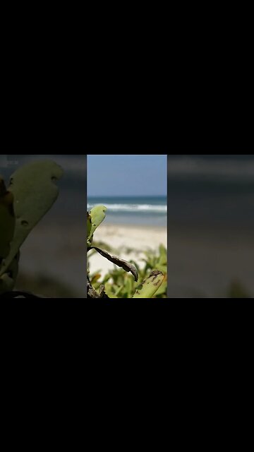 Be Grateful. 💯🔥🔥🔥#shorts #faith