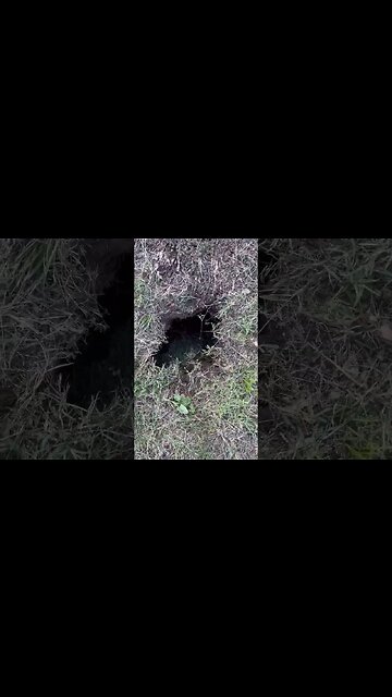 Sinkholes Everywhere