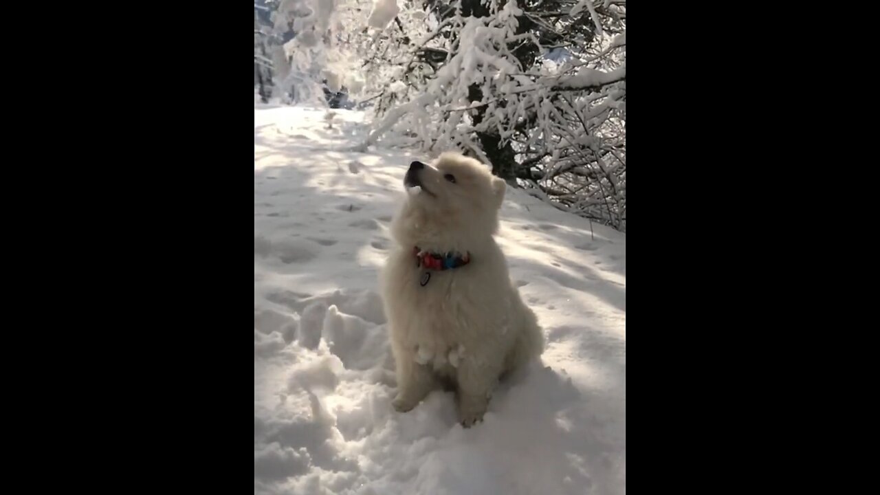 The moment when the snow falls is so atmospheric.