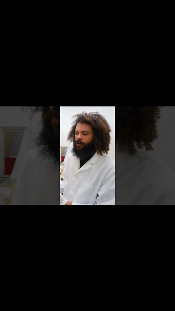 🍄 mushroom lab science | Southwest Mushrooms