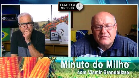 Milho pressionado pelo Dólar barato