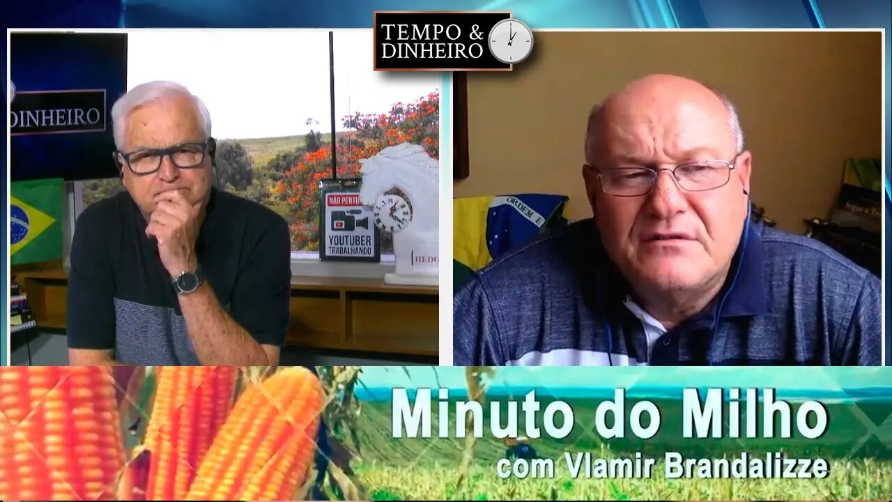 Milho pressionado pelo Dólar barato