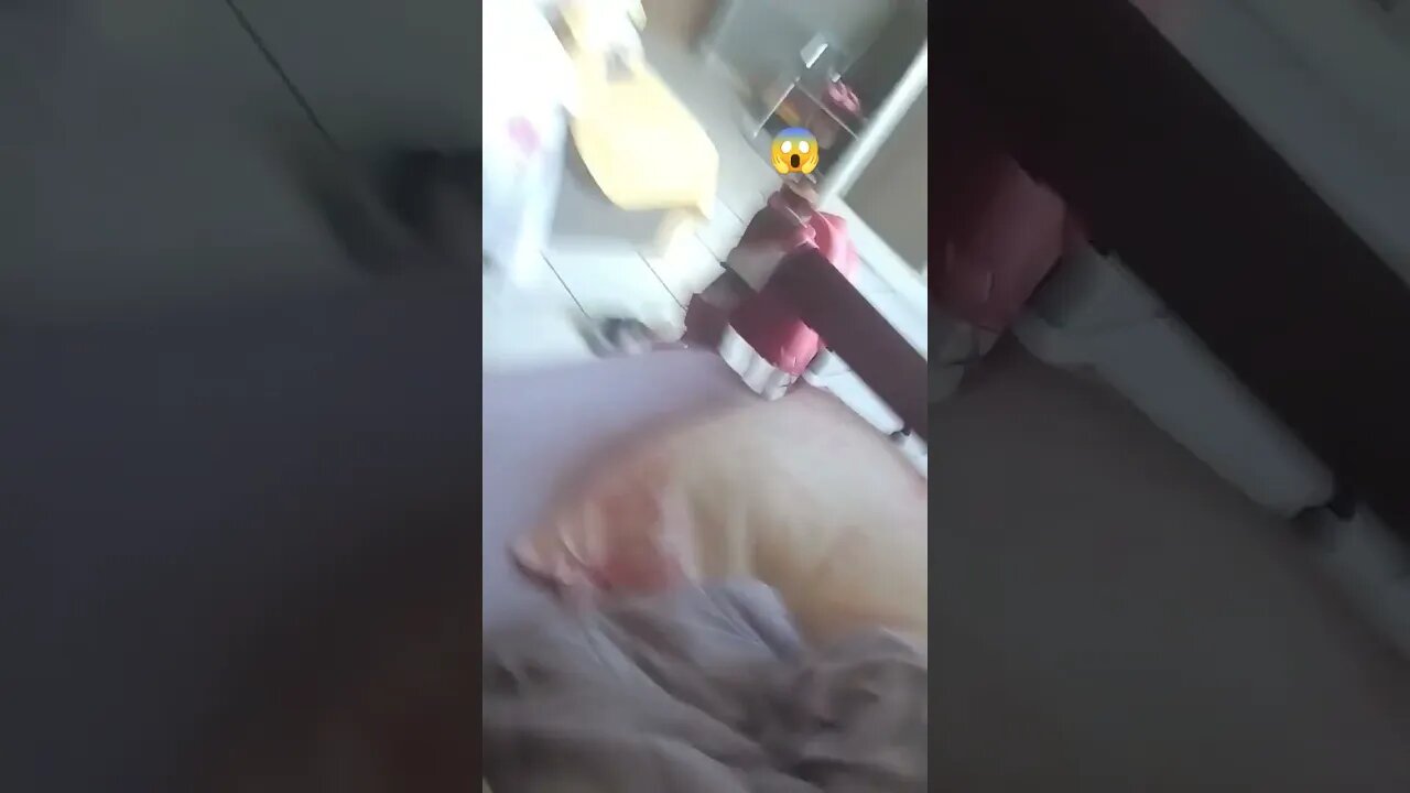 4 de fevereiro de 2023