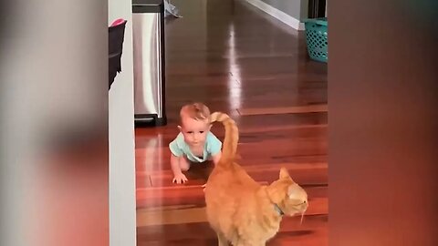 Cutest + Babies + Play + With + Dogs + And + Cats Compilation Cool Peachy