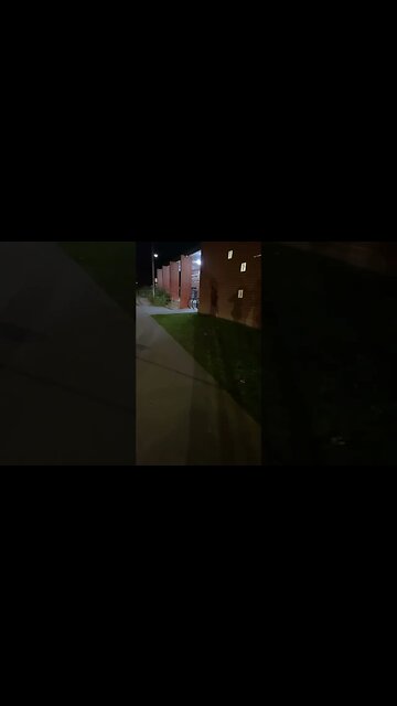 Walk to the library for story time