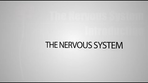 The Nervous System In 9 Minutes