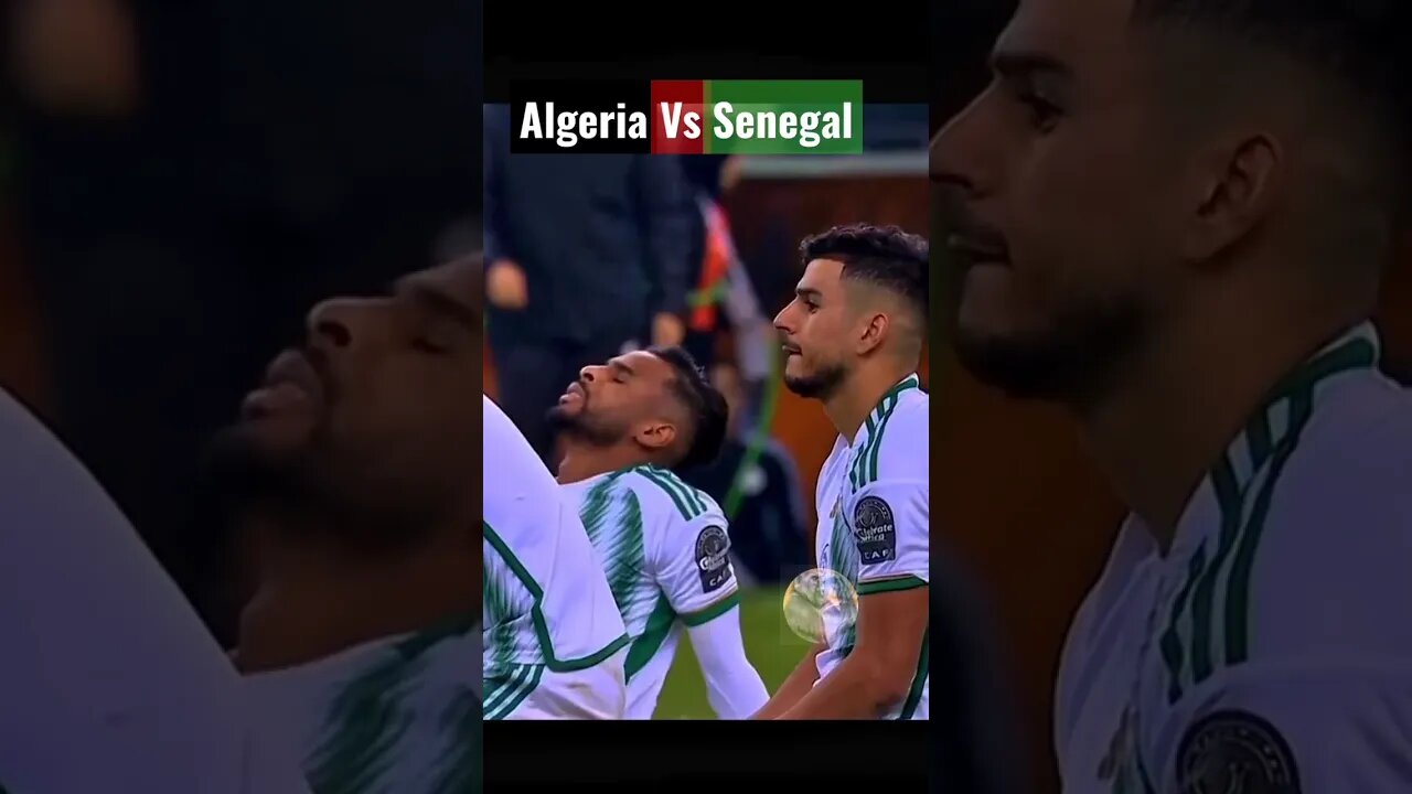 The Cry😭 Of Algeria ; Algeria vs Senegal