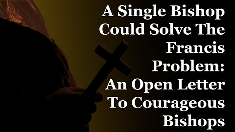 A Single Bishop Could Solve The Francis Problem: An Open Letter To Courageous Bishops