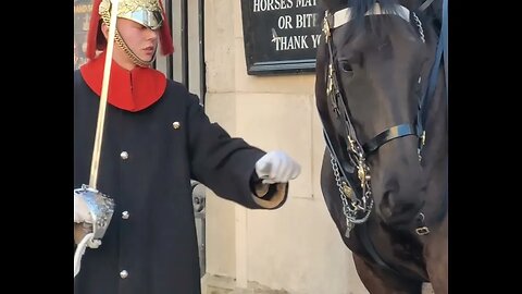 can you check it #thekingsguard