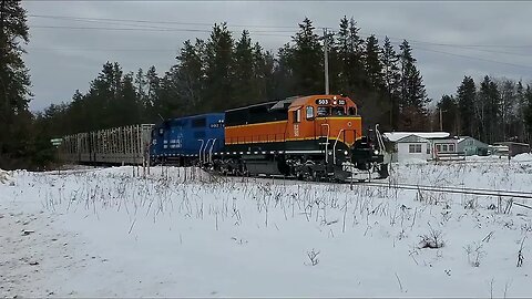 Oh Yeah, We've Got Some Mega Log Haulers On This Train! #trains #trainvideo | Jason Asselin