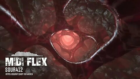 midi flex