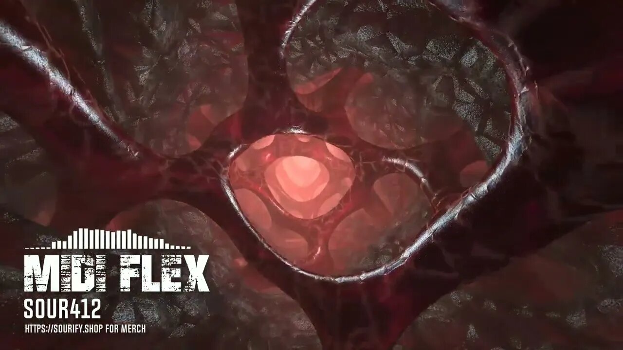 midi flex