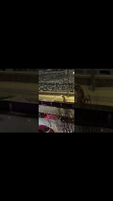 Montréal Midnight Snow Removal Operation