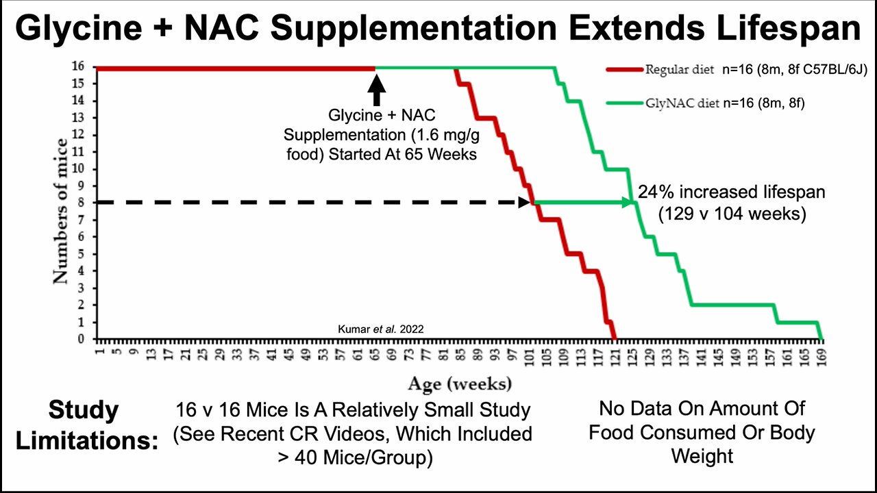 Glycine + N-Acetyl Cysteine Supplementation Increases Lifespan